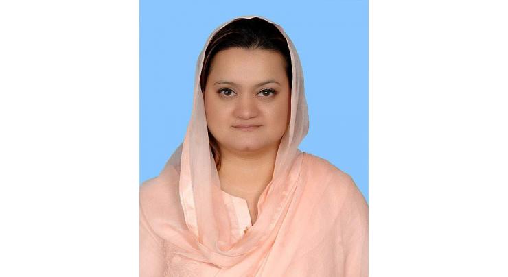 Quaid Week to be celebrated from Dec 19 to 25: Marriyum 