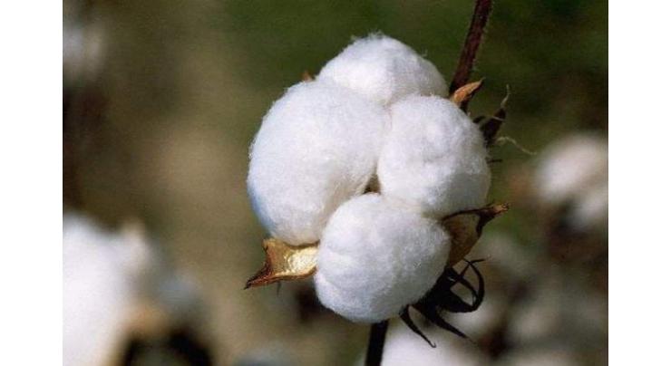 Spot rates of cotton (Crop 2016-2017) 