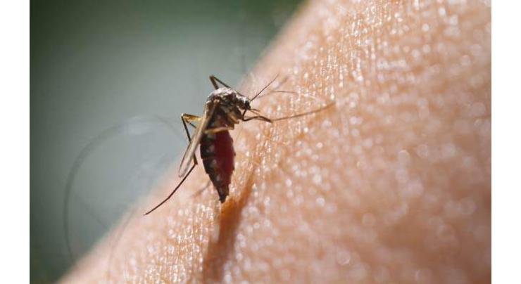 Lack of funds threatens malaria progress: WHO 