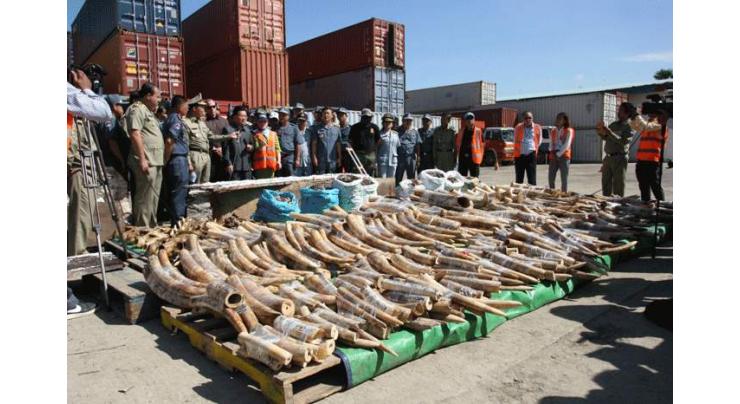 Cambodia seizes huge haul of ivory and animal parts 