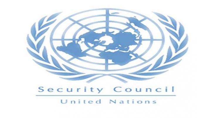 UNSC strongly condemns terrorist attack in Istanbul on New Year's Day 