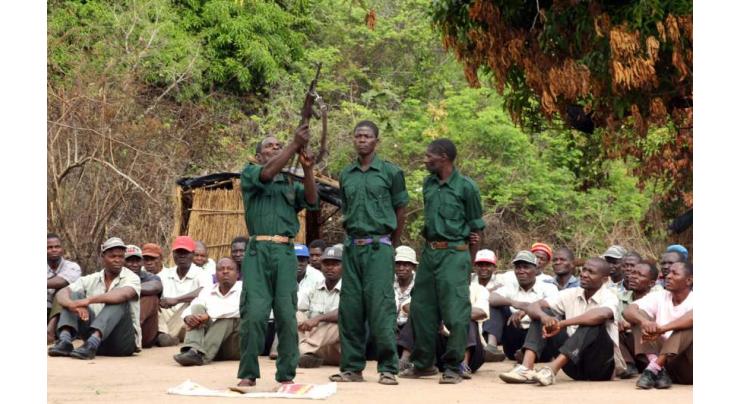 Mozambique rebel leader announces 2-month ceasefire 