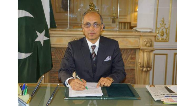 Pakistan, France to strengthen culture, sports and educational ties: Envoy 