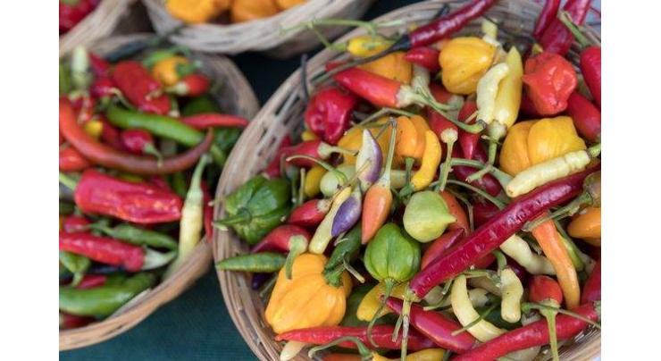 Chillies could be used to destroy cancer 