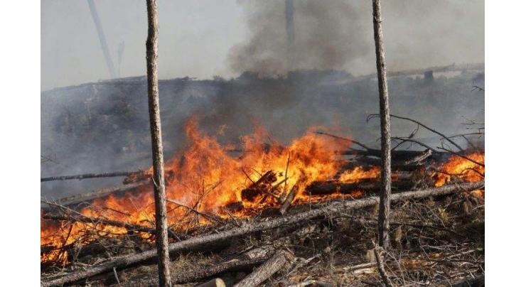 Argentine wildfires devastate pampas 