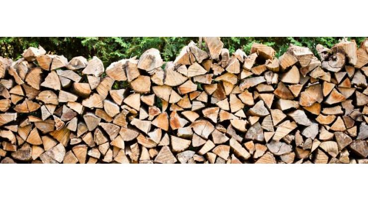 Prices of dry wood increase after rain, snowfall 