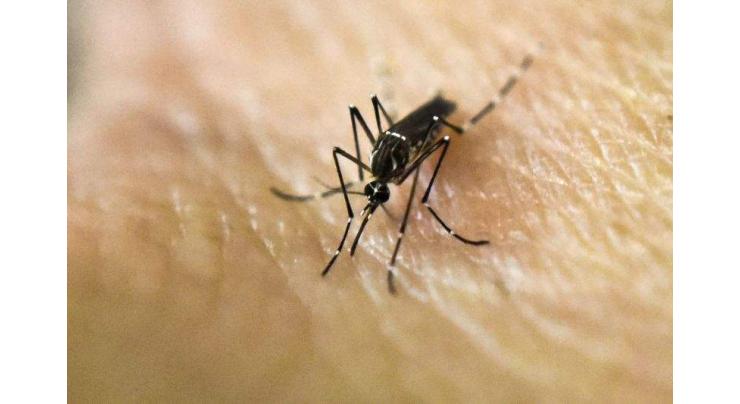 Angola records first Zika cases 