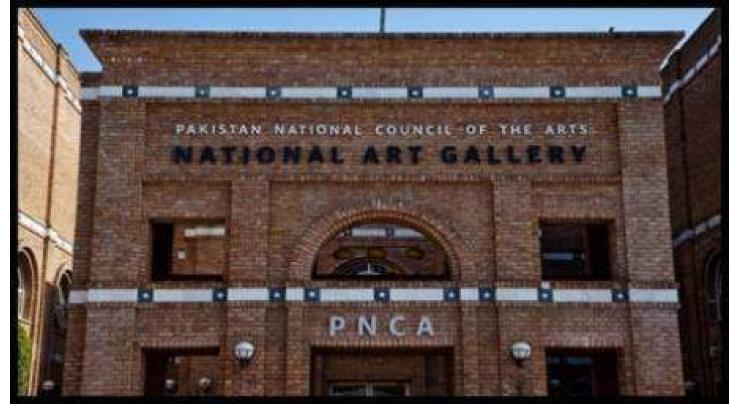 PNCA arranges lecture on contemporary Pakistani artists 