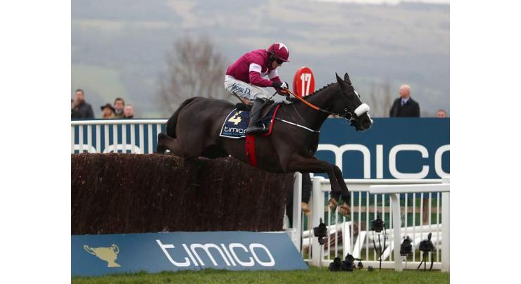 Racing: Gold Cup champion Don Cossack retires 