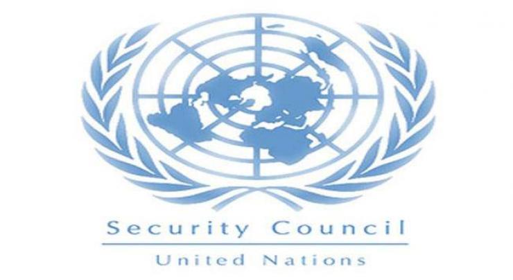 UN Security Council plans visit to Lake Chad region 