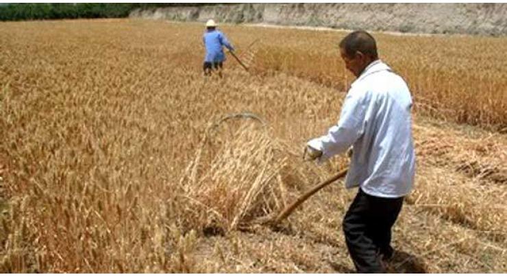 Farmers organizations support govt's steps: Kissan Mahaz 