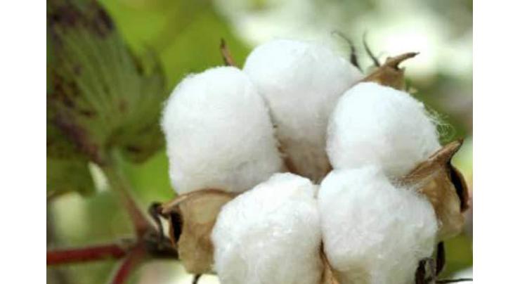 Spot rates of cotton (Crop 2016-17) 