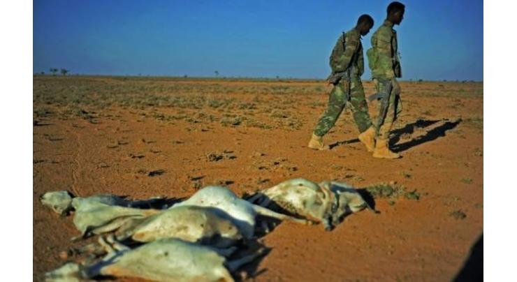 Drought may add famine to Somalia's humanitarian woes 