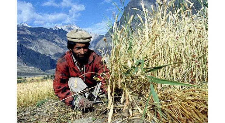 DC orders strict monitoring of subsidy on fertilizers 