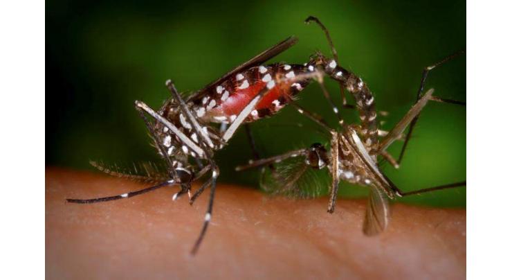 Single-dose Zika vaccine works in animals: study 
