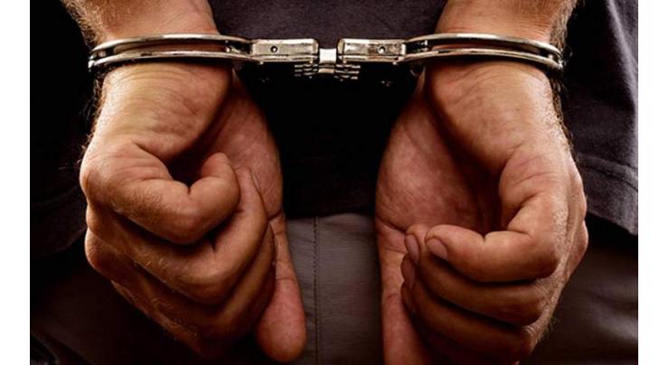 Indian cops arrest US businessman over idol smuggling 
