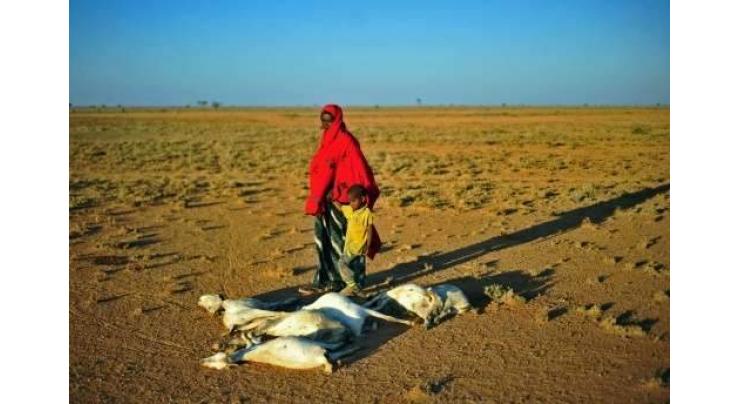 Somali president declares 'national disaster' over drought 