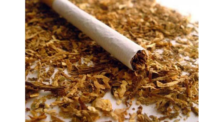 Tobacco export increases 72.15% 