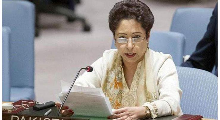 Expansion in non-permanent membership would make UNSC more representative: Pakistan 