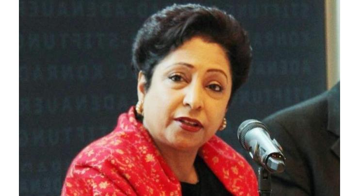 Non-profit organizations playing 'vital' role in spreading education in Pakistan: Maleeha 