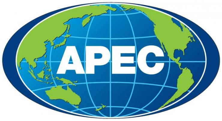 APEC meetings in Vietnam agree to boost investment, trade liberalization 