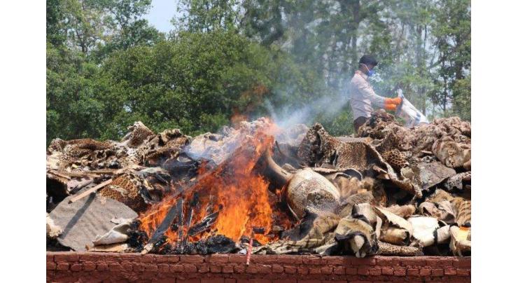 Nepal torches valuable wildlife parts 