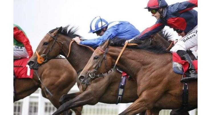 Racing: Horse wins 'wrong race' at 50-1 