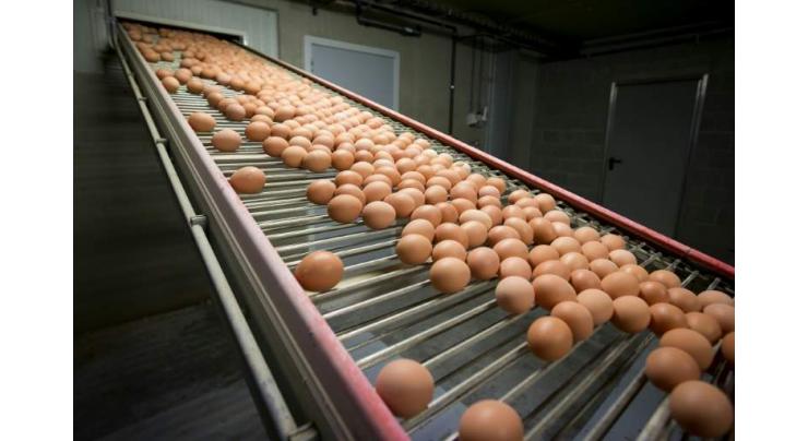 Two arrested in Europe as egg scandal spreads east 