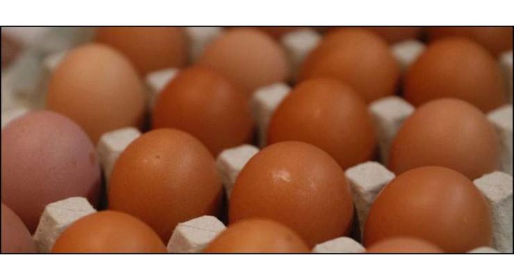 20 tonnes of contaminated eggs sold in Denmark: food authority 