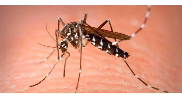 Doctors warn against surge in water borne, mosquito infested diseases in city 