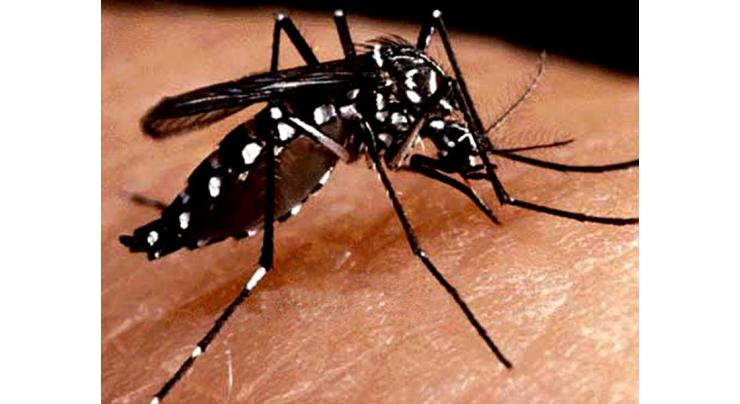 Health expert stresses to adopt preventive measures to contain Dengue virus spread 