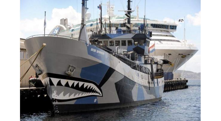 Sea Shepherd pulls plug on Japan whale hunt 
