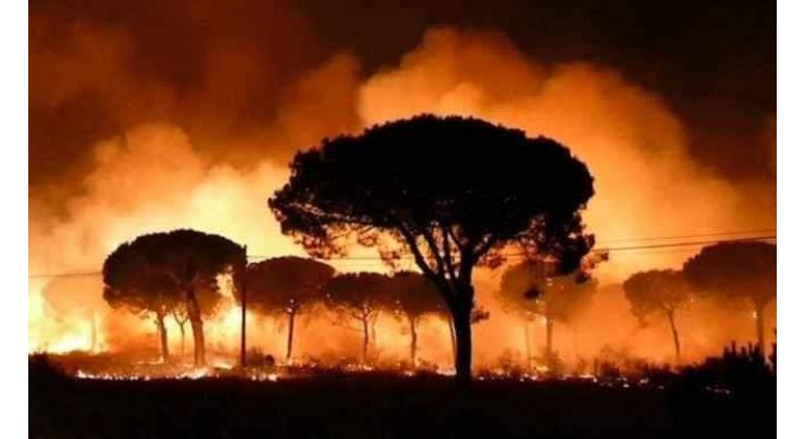 Around 500 evacuated due to wildfire in Spain 