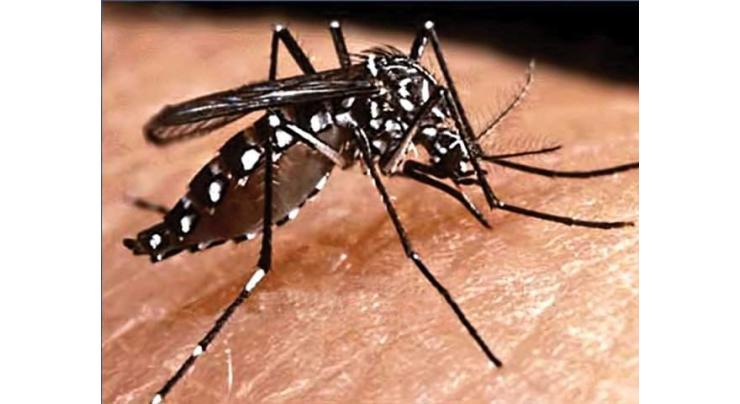 Joint efforts needed against dengue 