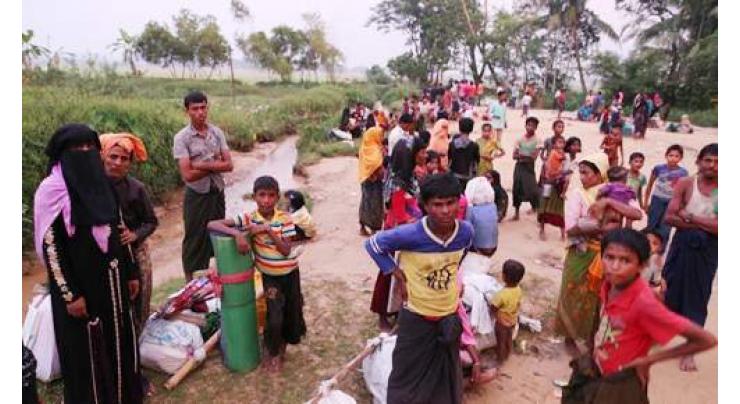 Senate laments persecutions of Rohingya Muslims in Myanmar 