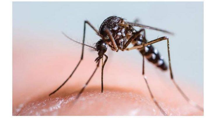 Dengue affected patients mounted to over 8,000 in KP 