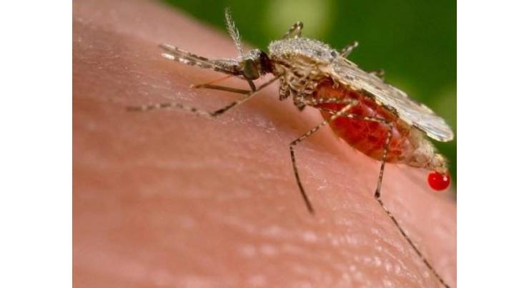 People's cooperation sought to eliminate dengue virus 
