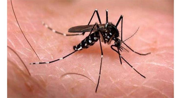 147 confirmed cases of Chikungunya reported in Swabi, 51 recovered-DHO 