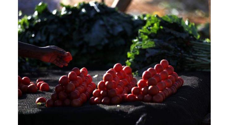 Zimbabwe bans fruit, vegetable imports to save scarce forex 