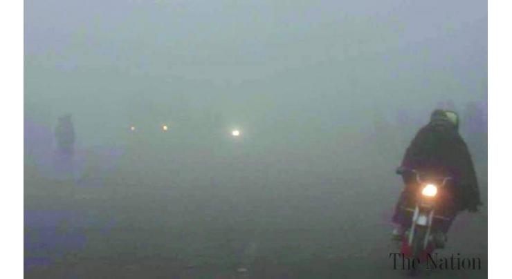 Smog can cause lower yields of vegetables, fruits, crops: Agri experts 