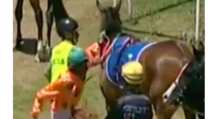 Racing: Australia jockey suspended for punching horse 