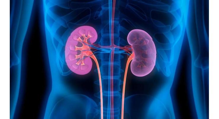 90% kidney patients comprise youth 