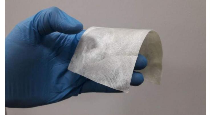 Pakistani researchers develop nanoparticle to heal burnt skin 