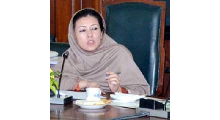 Daycare centers being set up throughout Punjab: Minister 