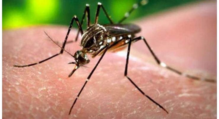 Deforestation causing increase in malaria cases: study 
