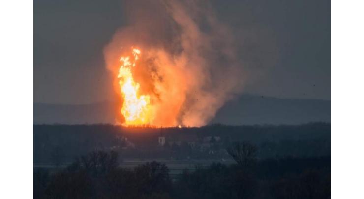 Austrian gas hub back online after explosion 