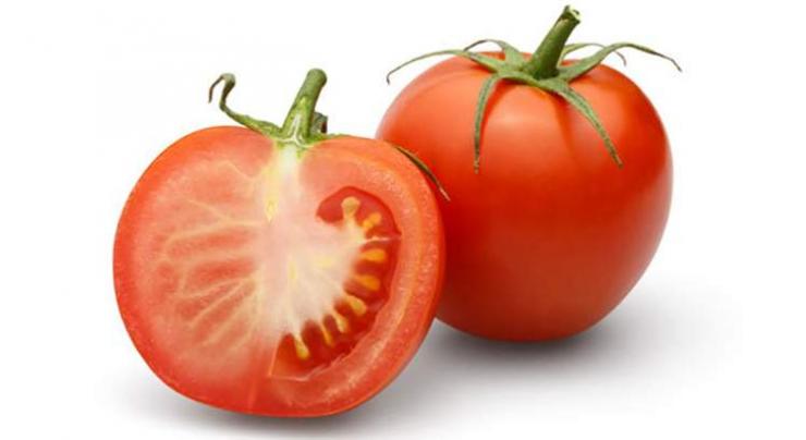 Two tomatoes a day may keep lung disease at bay: study 