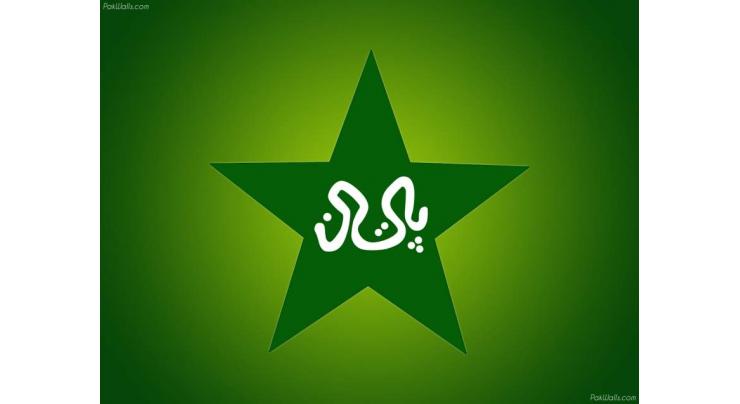 2017 a game changer for Pakistani Cricket: Report 