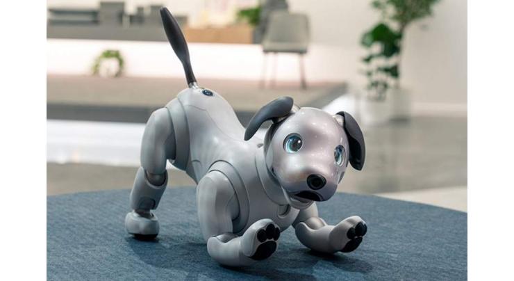 Old dog, new tricks: Sony unleashes 'intelligent' robot pet 