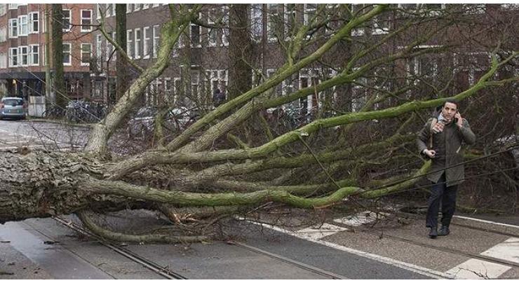 Storm caused 90 mn euros in damage: Dutch insurers 
